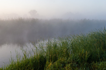 Narwiański Park Narodowy. Poranek nad Narwią © podlaski49