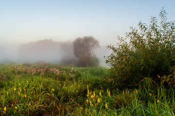 Narwiański Park Narodowy. Poranek nad Narwią © podlaski49