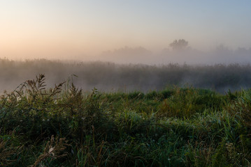 Narwiański Park Narodowy. Poranek nad Narwią © podlaski49