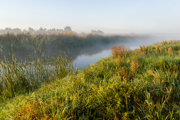 Narwiański Park Narodowy. Poranek nad Narwią © podlaski49