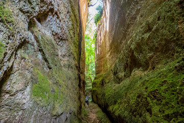Le incredibili vie cave, sentieri scavati nella roccia di tufo dagli etruschi in Toscana, tra...