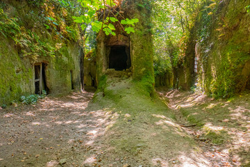 Le incredibili vie cave, sentieri scavati nella roccia di tufo dagli etruschi in Toscana, tra...