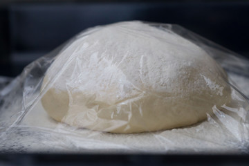 Food, dough for bread and pizza