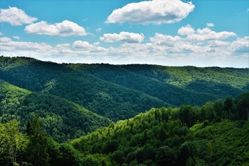 Obraz premium landscape with forested mountains