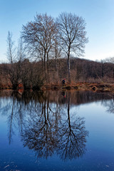 Forester on the bank of the Coquibus pond in the french Gâtinais regional nature park