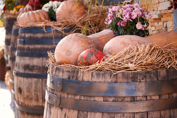 beautiful ripe orange pumpkin lying in the straw on a wooden barrel