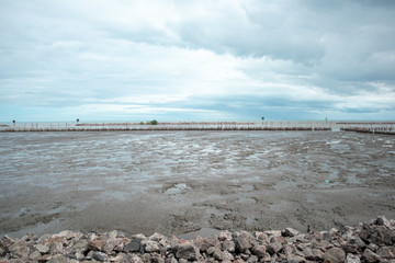 The beach mangrove forest in Thailand after the rain, the sky is not bright.