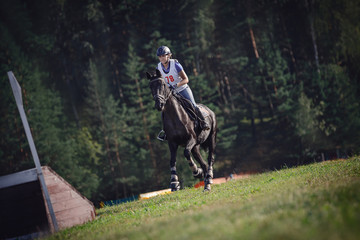 portrait of woman rider and black sport horse galloping energetically to obstacle for jumping...