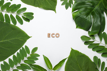 Background from tropical green leaf on white paper. Word eco. Copy space. Top view