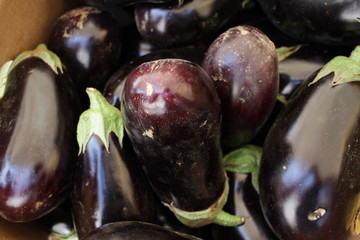 Eggplant. Fresh organic aubergine. Vegetables pattern.