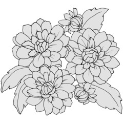 Obraz premium flower arrangement in monochrome colors, with flowers of daisies