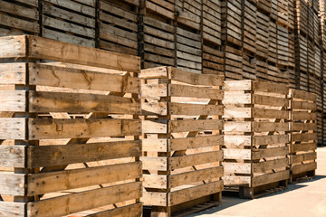 Old empty wooden crates outdoors on sunny day