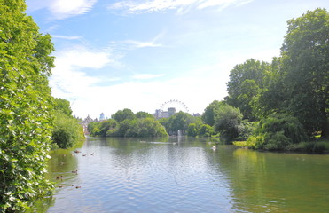 Fototapeta na wymiar St James park greenery London UK