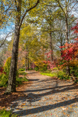 Fototapeta na wymiar Walking path in autumn