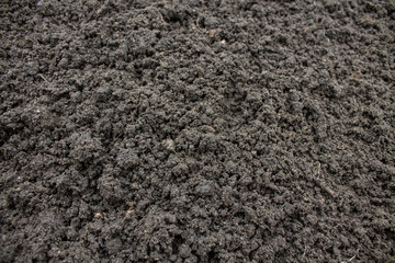 Loose black earth close-up in the garden