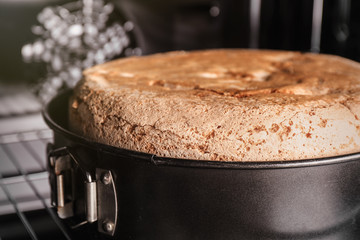 Delicious fresh homemade cake in oven, closeup