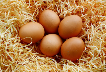 A lot of eggs on wood wool shavings packaging or artificial straw.