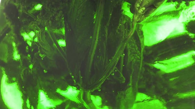Infusion of medicinal herbs close up. Traditional ancient medicine. Healing potion, decoction or extract of herbs.