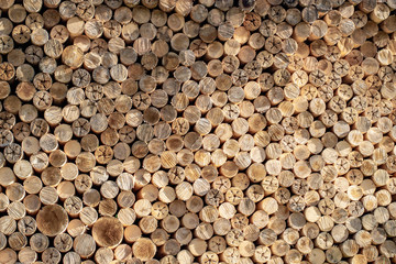 Waste wood industry used as firewood