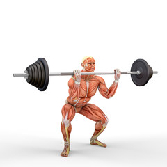 3D Illustration of a athlete with a barbell with muscle maps isolated on white background - 285949151