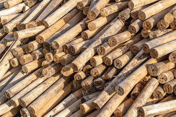 Waste wood industry used as firewood
