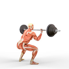 3D Illustration of a athlete with a barbell with muscle maps isolated on white background - 285949170