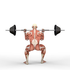 3D Illustration of a athlete with a barbell with muscle maps isolated on white background - 285949178