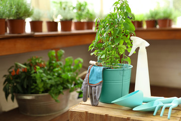 Composition with gardening tools and plant on wooden crate indoors, space for text