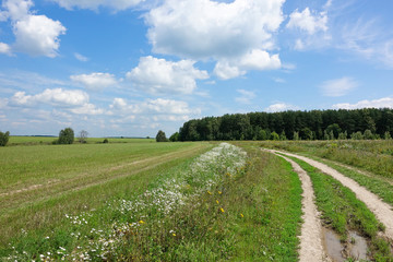 A wonderful landscape for a computer screensaver. Field with dirt road in the field. Sky with clouds