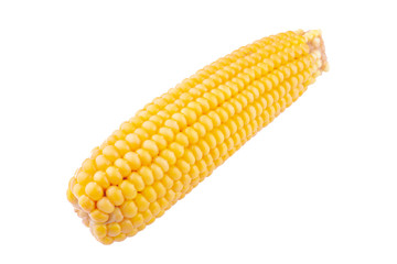boiled corn on a white background isolate