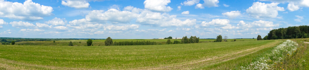 Obraz premium Panorama. Beautiful landscape. Green field with clouds. Russia