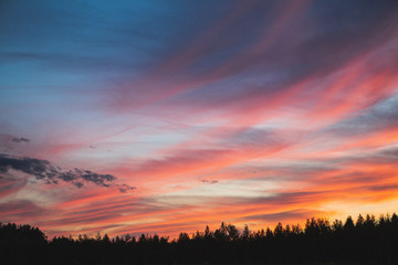 sunset in the sky