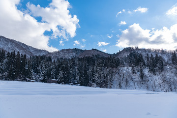 Winter landscape of the sunny day in Japan.  