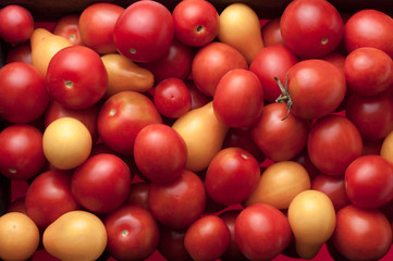 Obraz premium closeup view organic tomatoes as background