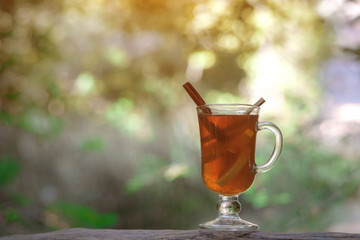 glass cup with tea in the forest, in the forest of sunlight