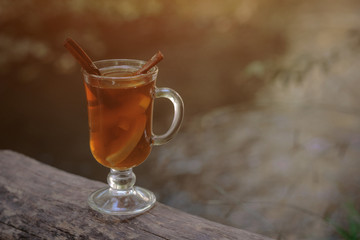 glass cup with tea in the forest, in the forest of sunlight