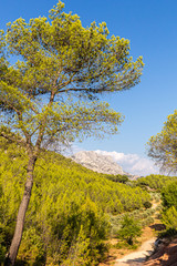 Sainte-Victoire mountain, towards the village of Tholonet
