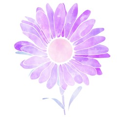 Watercolor flower illustration in purple style