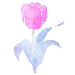 Watercolor flower illustration in purple style