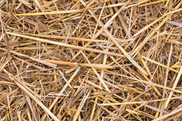 Hintergrund mit Stroh