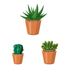 Vector illustration of cactus and pot logo. Set of cactus and cacti stock symbol for web.