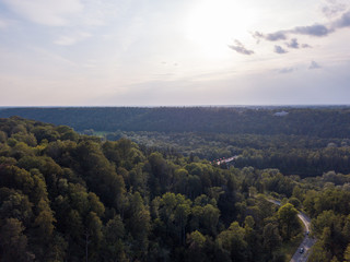Aerial view of beautiful green forest, Latvia