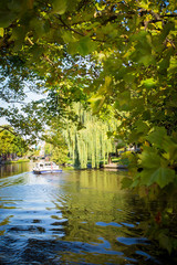 Boat on canal seen through the trees in Amsterdam
