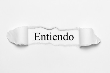 Fototapeta premium Entiendo