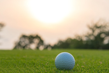 Golf ball on green grass ready to be shot at golfcourt