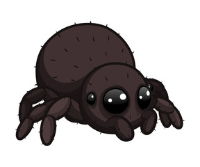 Cute little spider with hairs on the body