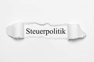 Steuerpolitik