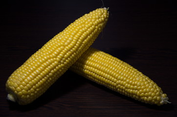Two ripe ears of corn, one on one, on a dark background