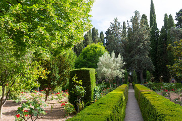Valldemossa. Park near Valldemossa monastery.
