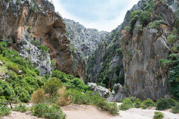 The rocks in the gorge Sa Colobra in Mallorca
